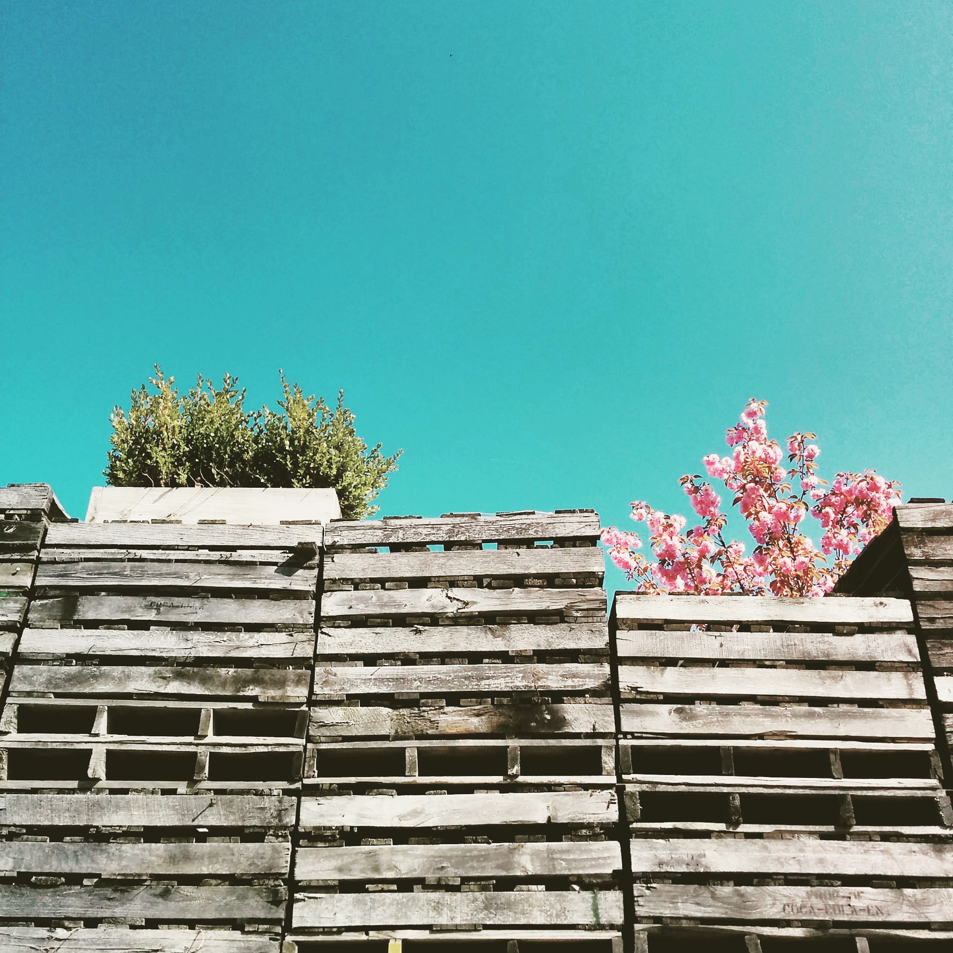 LENS DRIFT PHOTOGRAPHY